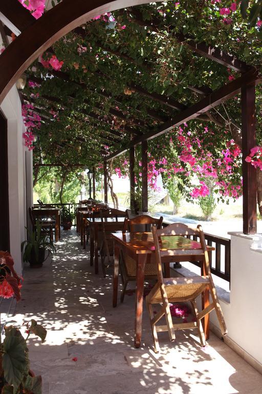 Hotel Angeliki Ireo  Dış mekan fotoğraf