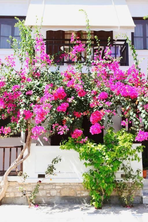 Hotel Angeliki Ireo  Dış mekan fotoğraf