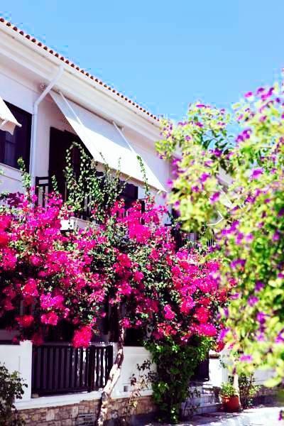 Hotel Angeliki Ireo  Dış mekan fotoğraf