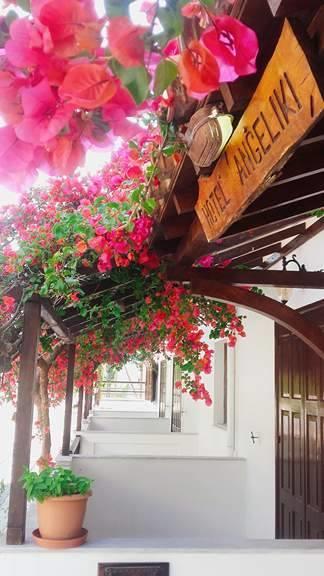Hotel Angeliki Ireo  Dış mekan fotoğraf